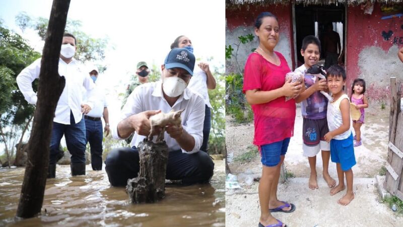 VILA DOSAL MANDO AL AYUNTAMIENTO DE DZIDZANTÚN COMIDA PARA LOS ANIMALITOS ABANDONADOS