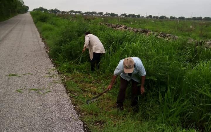 INICIO EL RESCATE Y SANEAMIENTO DE ESPACIOS PÚBLICOÓ EN YOBAIN COMO PARTE DEL PROGRAMA EMPLEO TEMPORAL