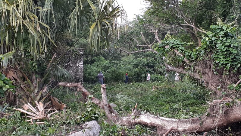 EL ALCALDE DE DZIDZANTÚN UTILIZA EL PET PARA CHAPEAR TERRENOS DE SUS AMIGOS.