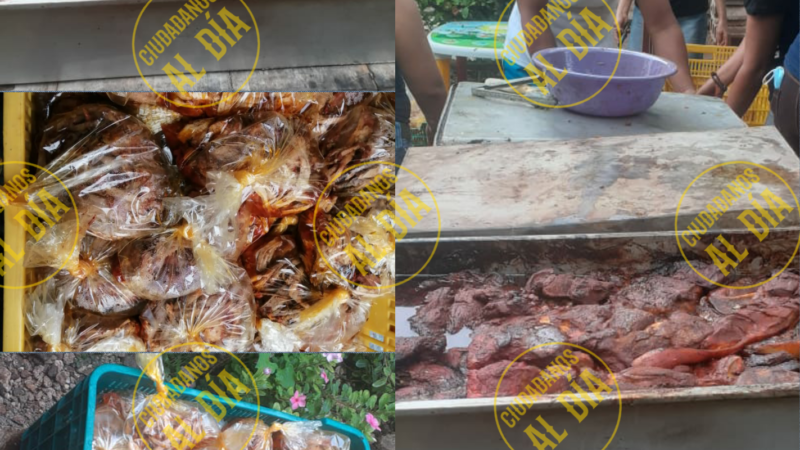 GRUPO ALTRUISTA ENTREGÓ POLLOS, BOLSAS CON COCHINITA Y LECHÓN AL HORNO A TEYENSES