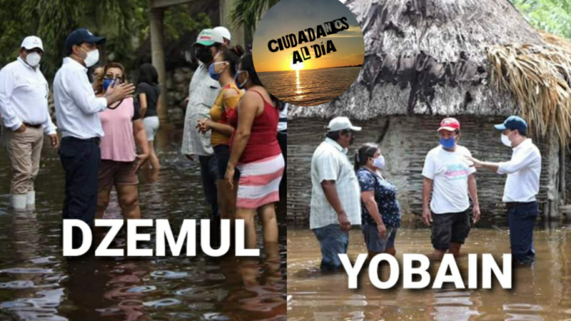 VILA DOSAL ENTREGARA INSUMOS A PRODUCTORES AFECTADOS DE YOBAIN Y DZEMUL