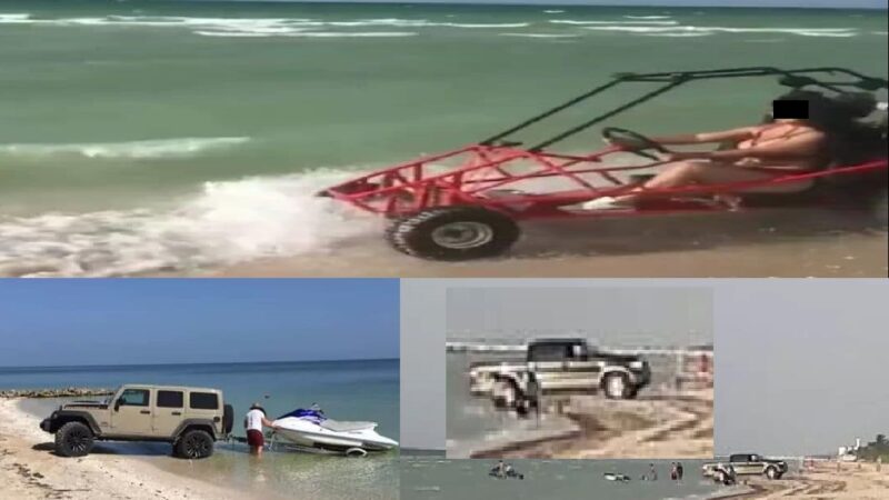 TURISTAS Y EX FUNCIONARIOS PÚBLICOS VACACIONAN Y DESTRUYEN NIDOS DE TORTUGA EN TELCHAC PUERTO