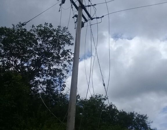 LADRONES DE CLASE MUNDIAL ATACAN EN CITILCUM