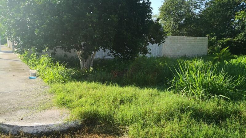 Ante la presión de ciudadanos la comuna de Izamal mando a limpiar espacios del fraccionamiento Kinich Kakmó