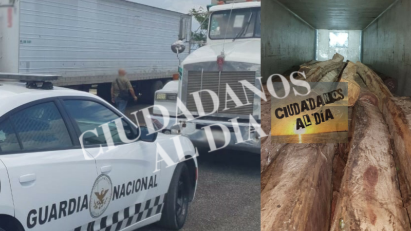 Guardia Nacional Aseguró un cargamento de madera en la vía federal Campeche-Mérida