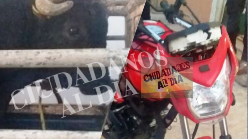 Minutos de terror en Tetiz, se escapó un toro de lidia y corneo una moto estacionada