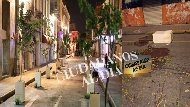 Vandalizan maceta en el centro histórico de Mérida