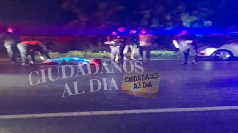 Después que la tropello y la mato se dio a la fuga, pero fue detenido por la policía de Kanasín