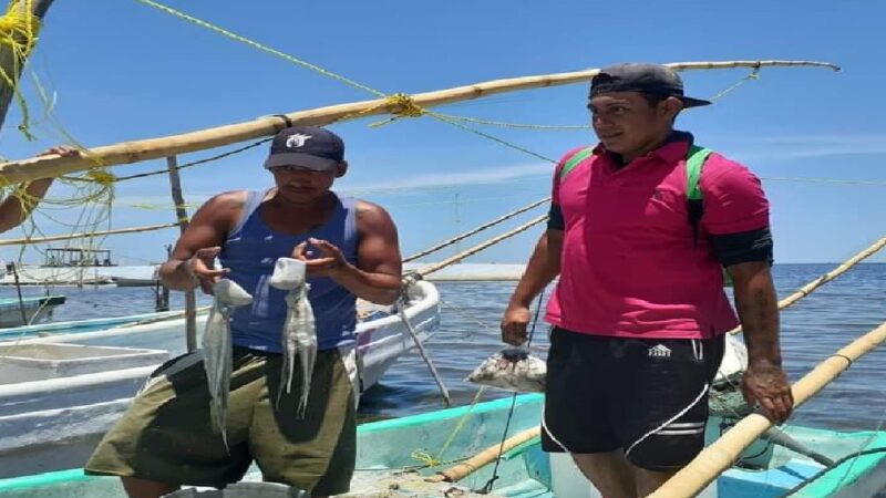 Sector pesquero solicitó ampliar la temporada de captura de pulpo