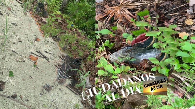 Allan fosa clandestina en isla blanca, donde se han reportado varios desaparecidos.