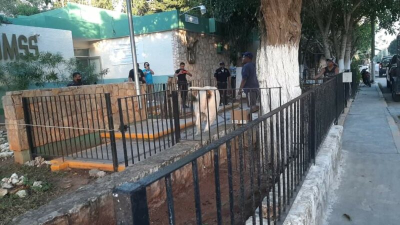 Policías atrapan a un toro dentro del IMSS de Dzilam González