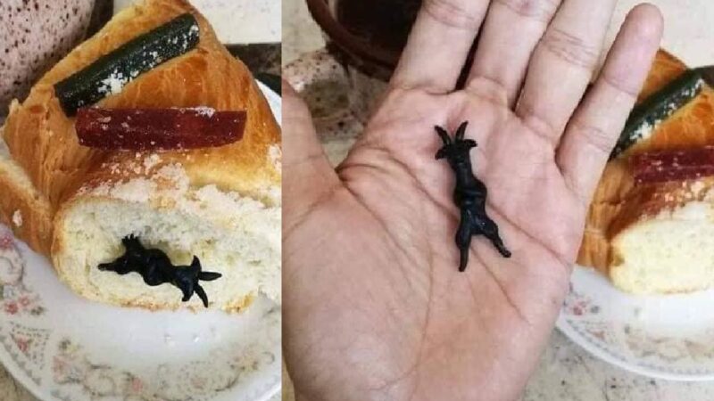 Rosca “Satánica” causa indignación en católicos