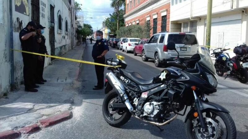 Abejas atacaron a dos trabajadores mientras podaban un árbol en Mérida.