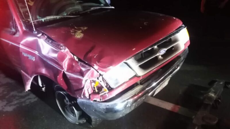 Choca contra una res cuando circulaba sobre la vía Valladolid-Tenazón