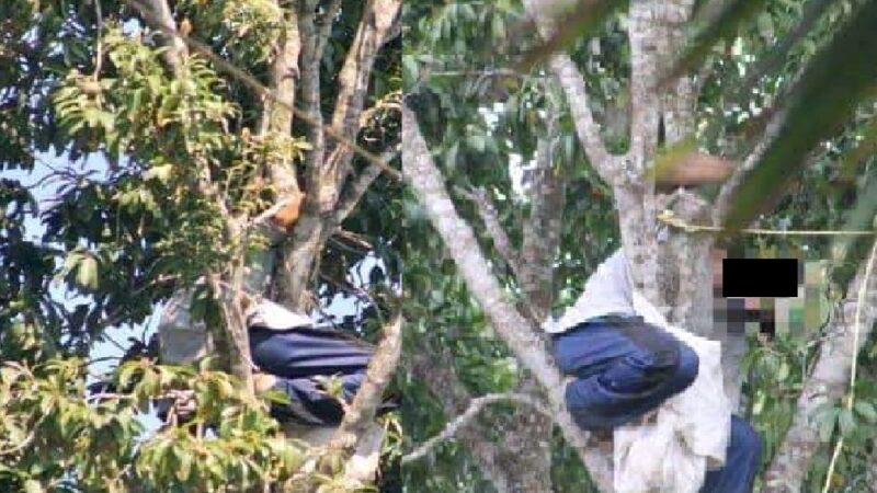 Muere electrocutado mientras bajaba zapotes en Oxcutzcab