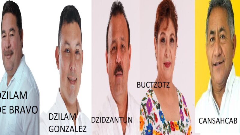 Armado, Cristian, Ismael, Margarita, y Francisco no han podido comprobar sus cuentas públicas, Milagros Romero