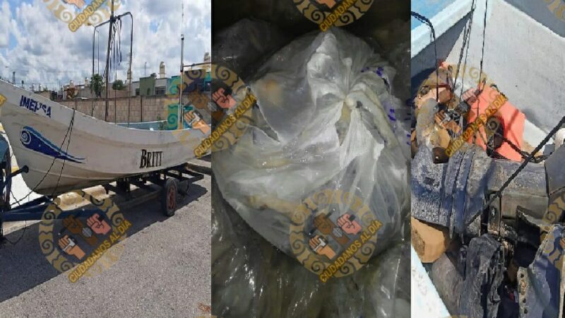 Seis hombres y una mujer caen con 100 kilos de pulpo y 9.5 de caracol en Dzilam de Bravo