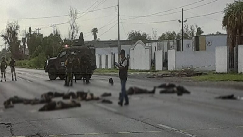Nueve muertos en enfrentamiento entre los cárteles del Noreste y del Golfo