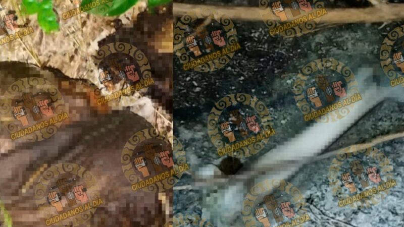 Encuentran en Dzidzantún osamenta de un hombre reportado como desaparecido hace más de un mes.