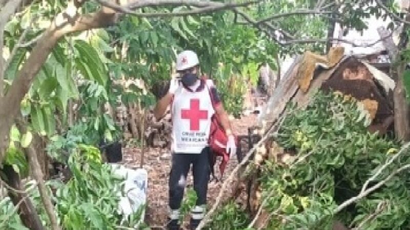 Septuagenario cae de un árbol de anona y muere en Tizimín