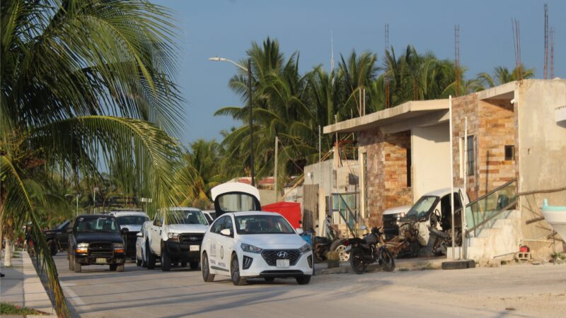 Tres detenidos en Dzilam: La FGR decomisa pulpo y hasta tortugas vivas y una cría de lagarto
