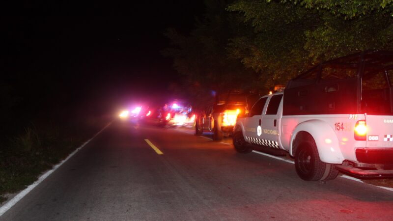 Decomisan más 6 toneladas de pulpo en una bodega del “Tango”, en Dzilam, quien huyó por un “pitazo” de la policía municipal”