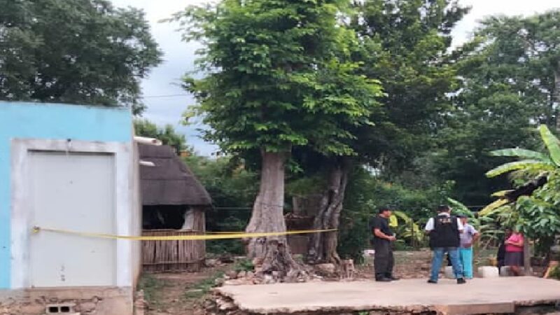 Encuentra a su hijo colgado del brazo de su hamaca, en Kaua