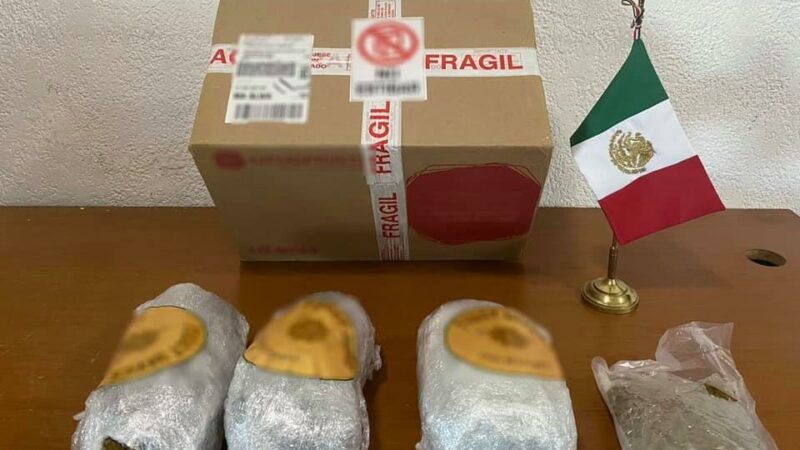 La GN decomiso mariguana en polvo en una empresa de paquetería en Saltillo