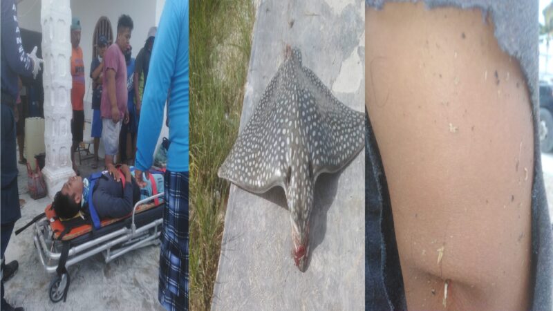 Raya pinta salta del mar, les cae encima y lesiona a dos pescadores en Santa Clara
