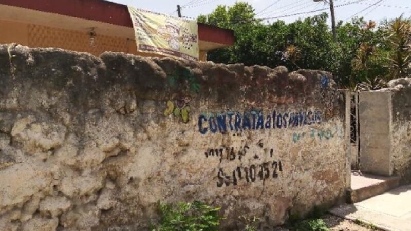 Un enjambre de abejas atacó a dos niños mientras jugaban en su casa en Motul,