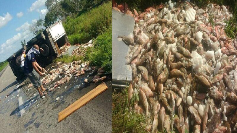 Un conductor vuelca y deja regado varias toneladas de pescado sobre la vía Tizimín- Mérida.