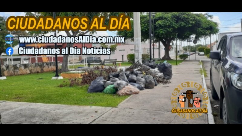 Tiraderos de asura un foco de enfermedades para ciudadanos de Mérida