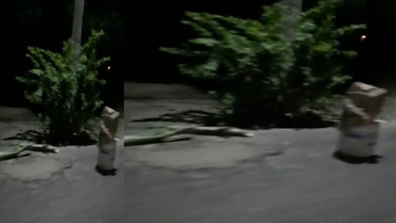 (Video) Exigen se bacheen socavones de la calle principal en la comisaría de San Francisco.