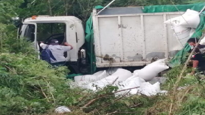 Se sale de la carretera con tres toneladas de alimento para cerdo en la Mérida-Tizimín.  