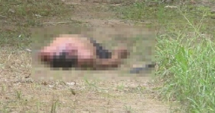 El kiro muere en la entrada de un rancho en Tzucacab cuando desyerbaba