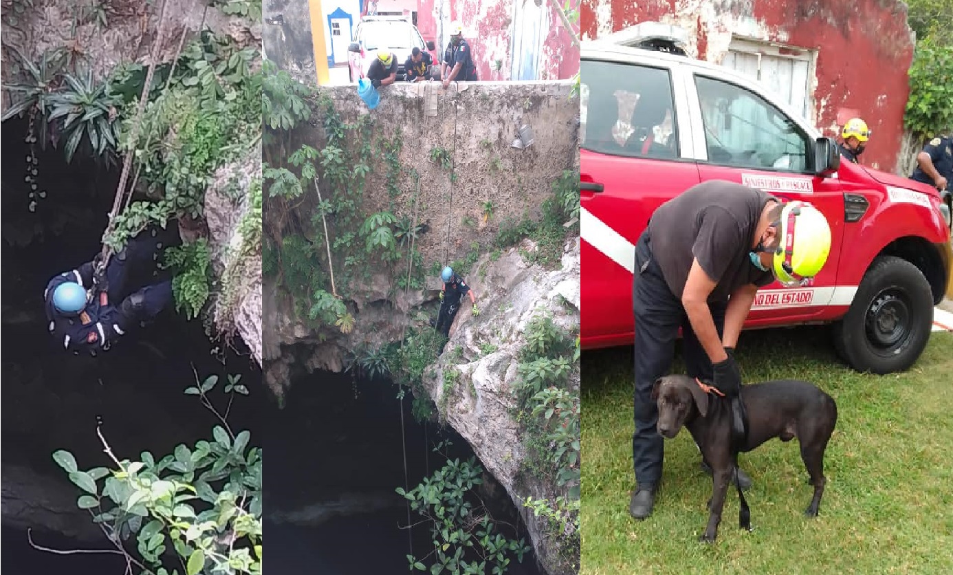 Bomberos de la SSP rescataron al Lobito, un perro que cayó en un cenote en Yaxcabá