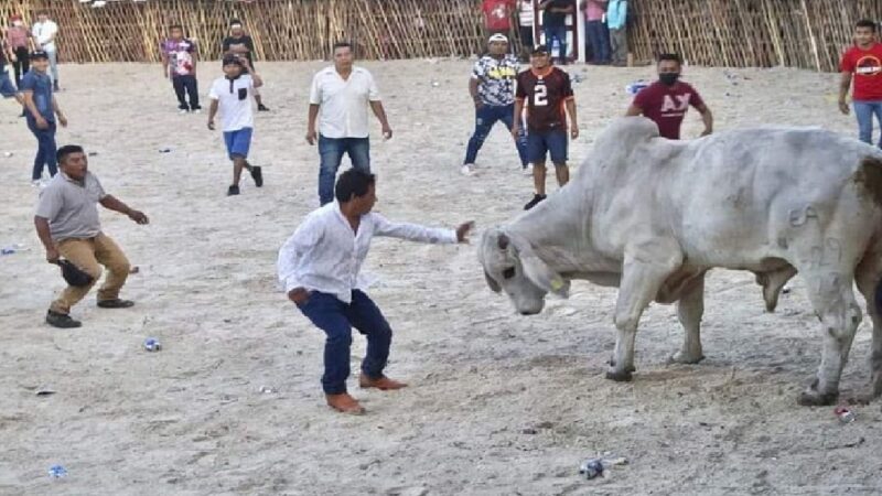 Un hombre muere de un infarto al día siguiente de ser corneado en el Baxal Toro en Tizimín
