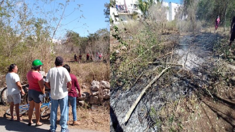 Paracaidistas causaron un incendio en montes del fraccionamiento “Arboleda” en Motul