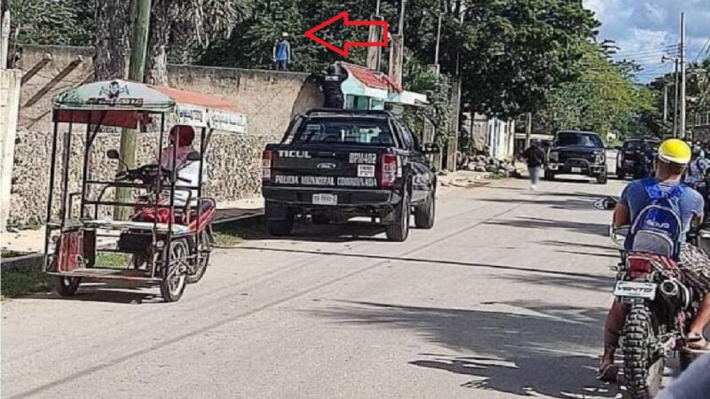 Nieto le cae a batazos a un ladrón que intento robar en casa de su abuela
