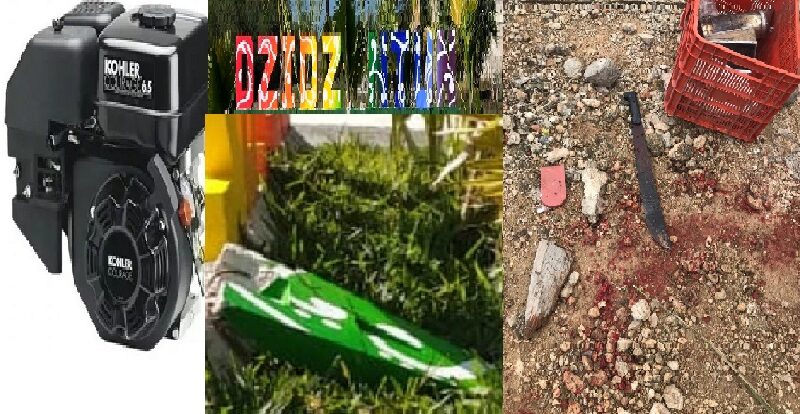 Festín de ladrones en Dzidzantún mientras la policía esta dormida en sus laureles