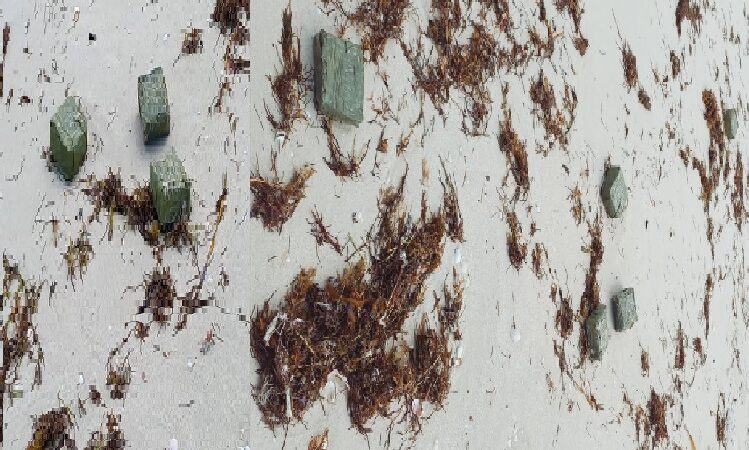 Recala droga en Progreso, la policía dice que desapareció misteriosamente