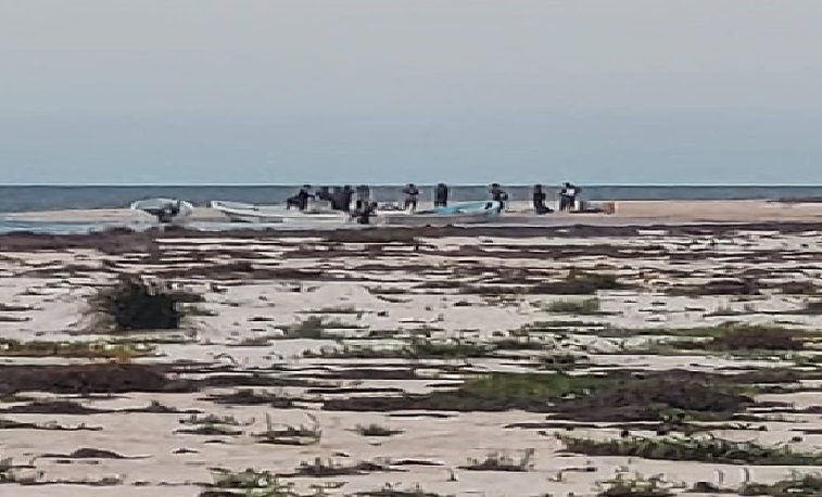 Denuncian pesca furtiva de pulpo en Dzilam De Bravo, piden mayor vigilancia