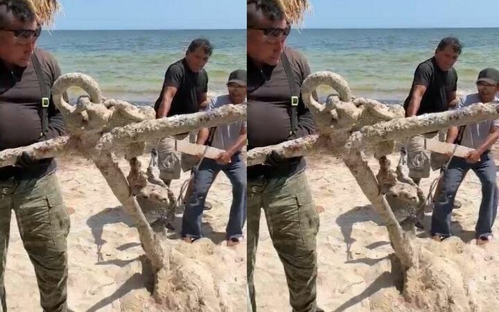 El INAH recuperó en Santa Clara otra ancla histórica en costas de Yucatán