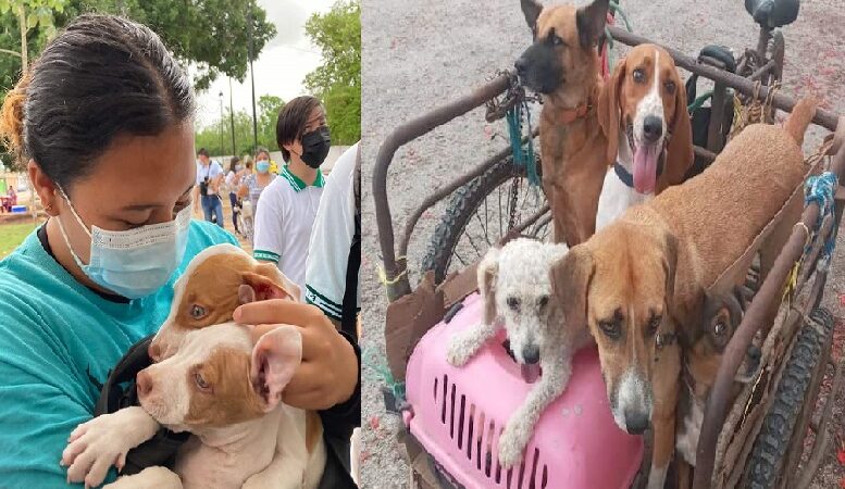 Alumnos del CBTA 14 se sumaron a la campaña de vacunación antirrábica en Tizimín