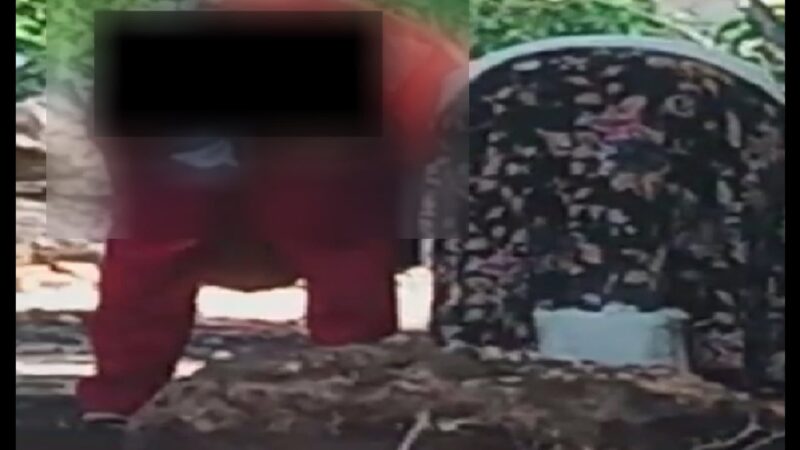 Mujer invasora de terrenos en Kanasín le muestra su vagina amenores de edad