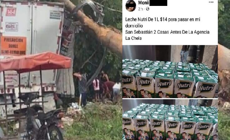 Seyenses dicen que su alcaldesa es ladrona, pero robaron varias toneladas de leche de un tráiler volcado
