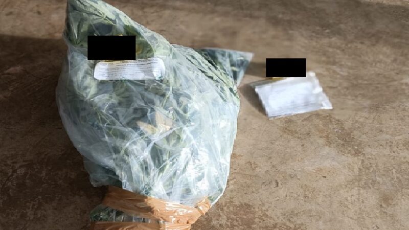 Cateo en bodega en Dzilam de bravo: no había pulpo pero hallaron droga