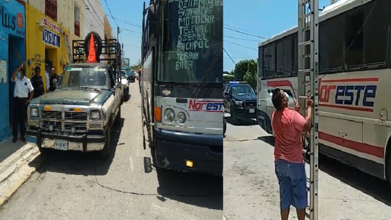 Camión de Noreste revienta cables de Telmex en el centro de Dzidzantún