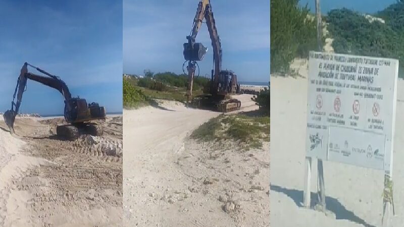Empresas roban arena y destruyen nidos de tortuga en Chuburná comisaría de Progreso