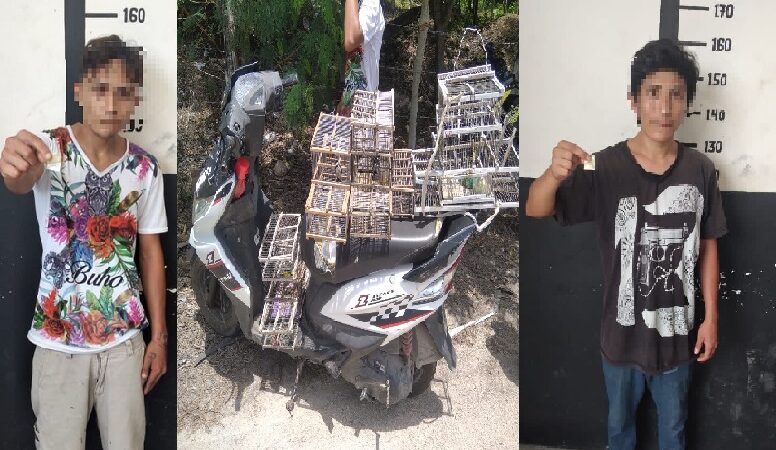 Policía de Tizimín detuvo a dos jóvenes por pesca furtiva de aves y posesión de droga.